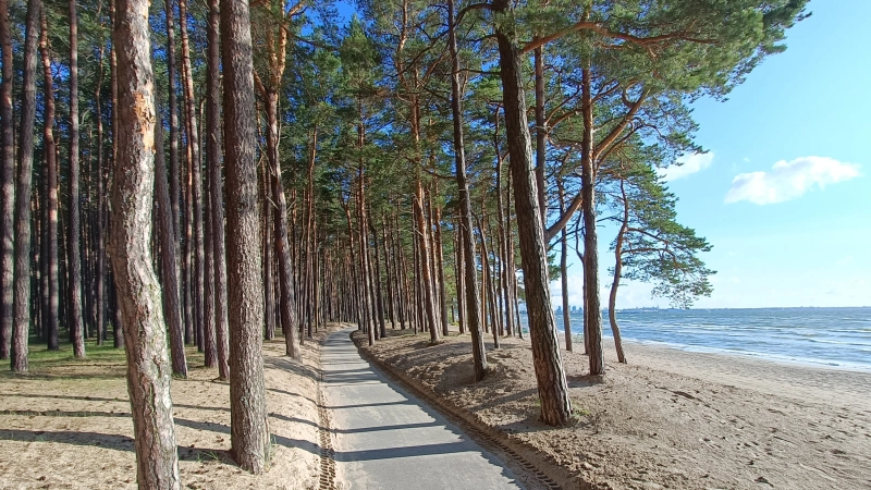 Eteenpäin vievä polku meren rannalla.